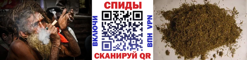 закладки  Гороховец  KRAKEN рабочий сайт  Бутират BDO 33% 