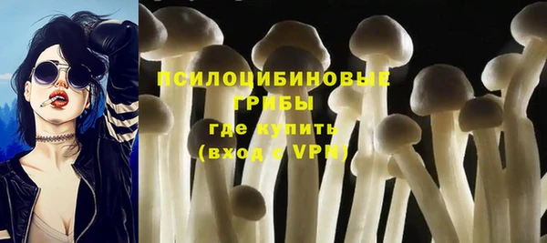 ешки Кострома