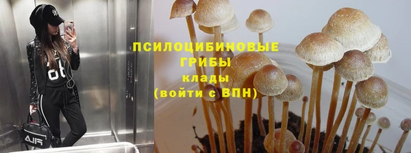 сатива Вязьма