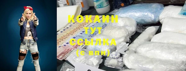 СК Вяземский
