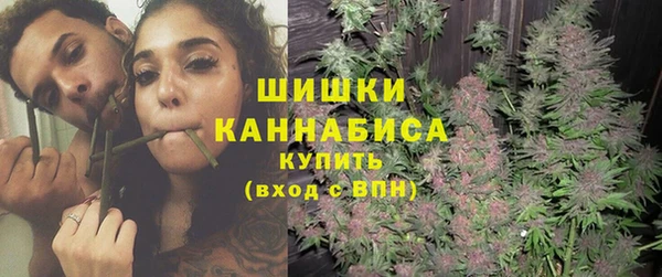 сатива Вязьма