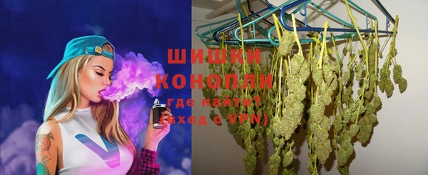 сатива Вязьма