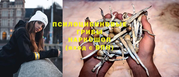 сатива Вязьма