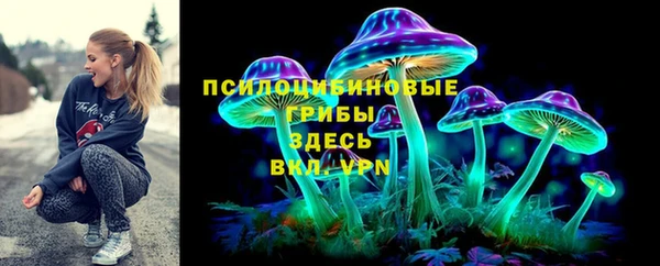 СК Вяземский